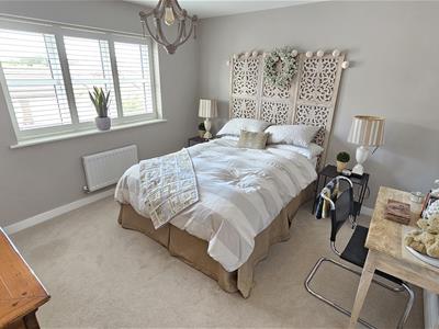 Picture 15